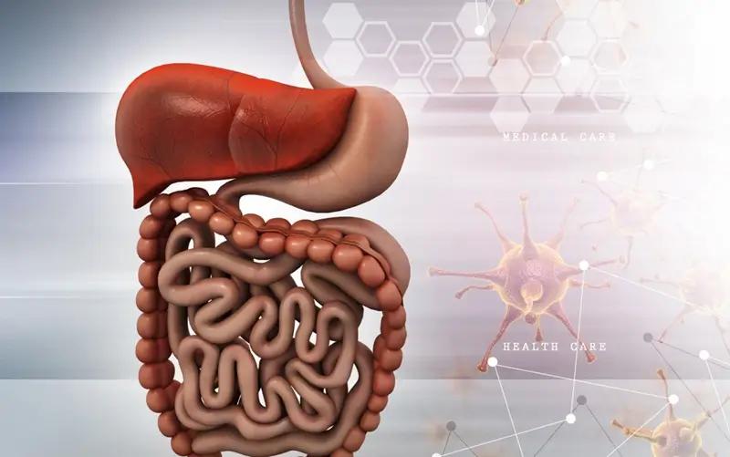 Gastroenterology